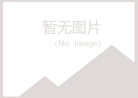 日照岚山旧梦能源有限公司